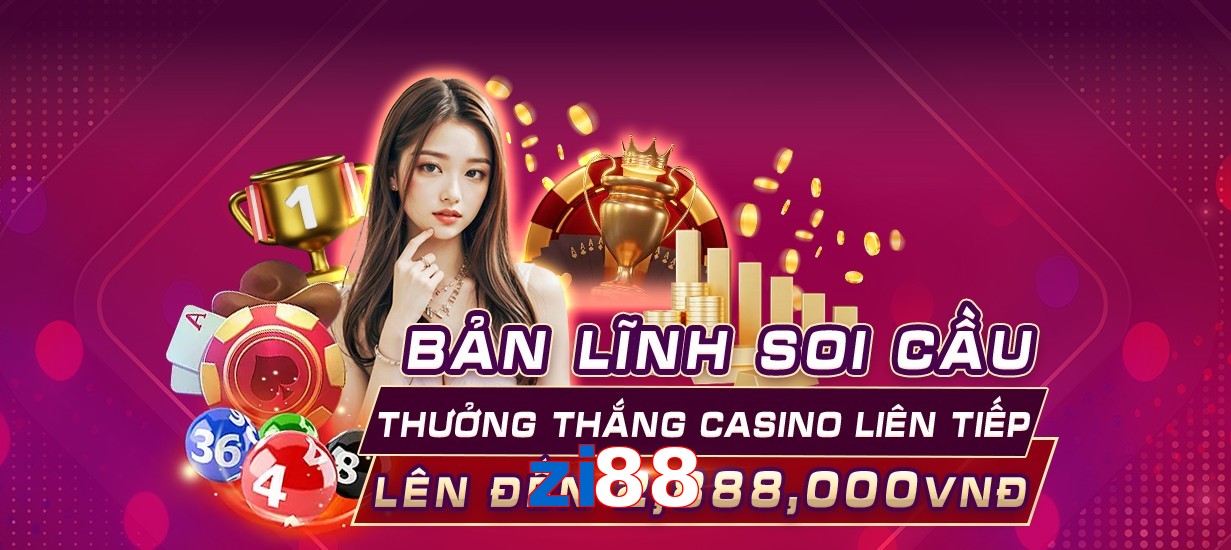 zi88