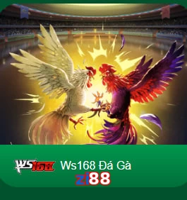 zi88